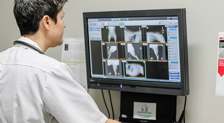 Radiology Radiology